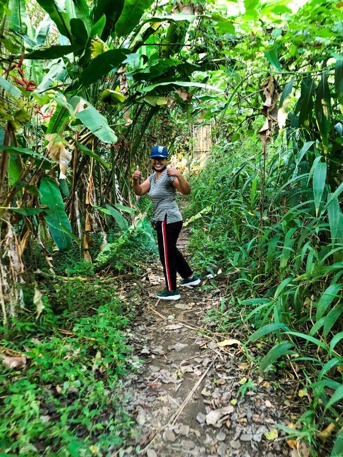 Rayshiva Homestay Ubud  Ngoại thất bức ảnh