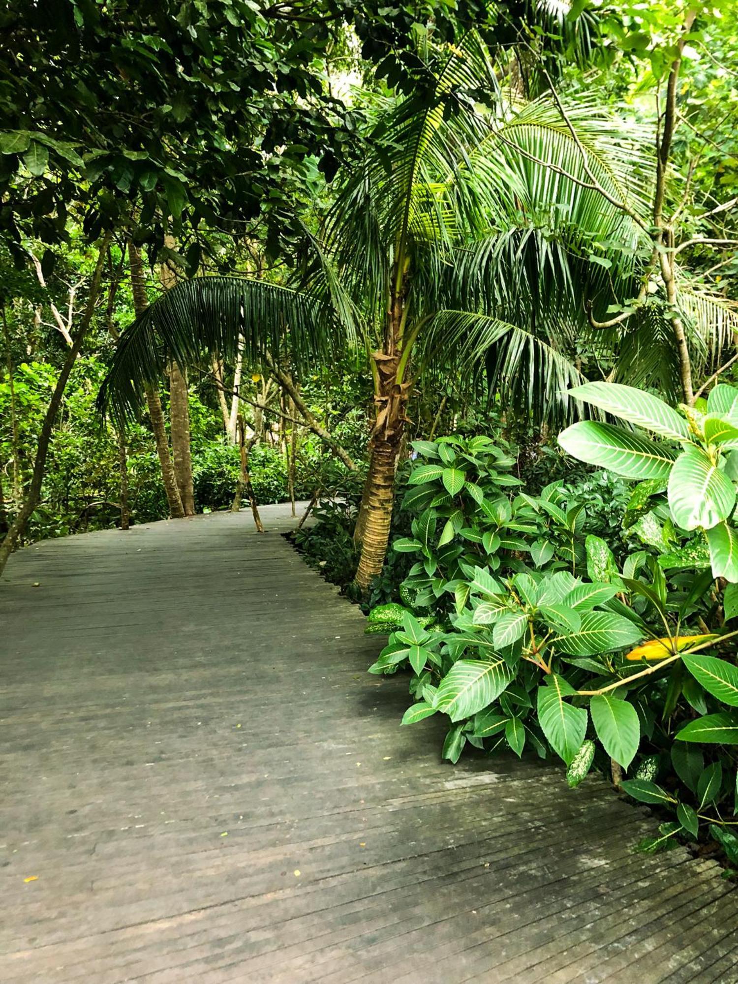 Rayshiva Homestay Ubud  Ngoại thất bức ảnh